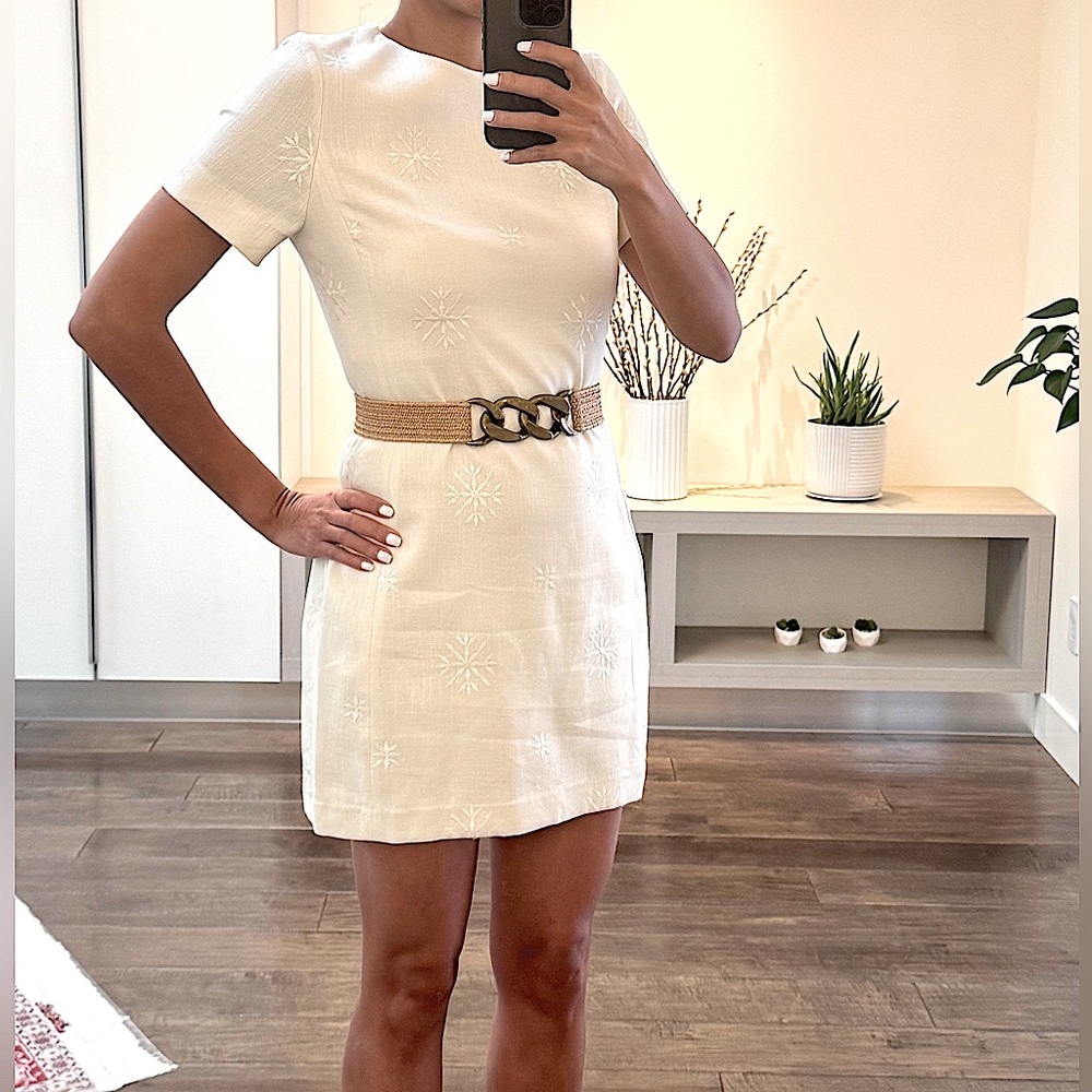 NWT - Zara Embroided Dress